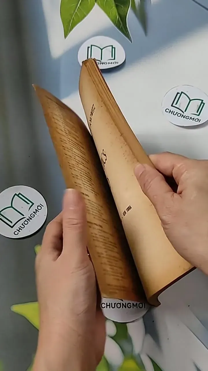 [MIỄN PHÍ BỌC SÁCH] Winning Chess Tatics Illustrated - I. A. Horowitz 703109