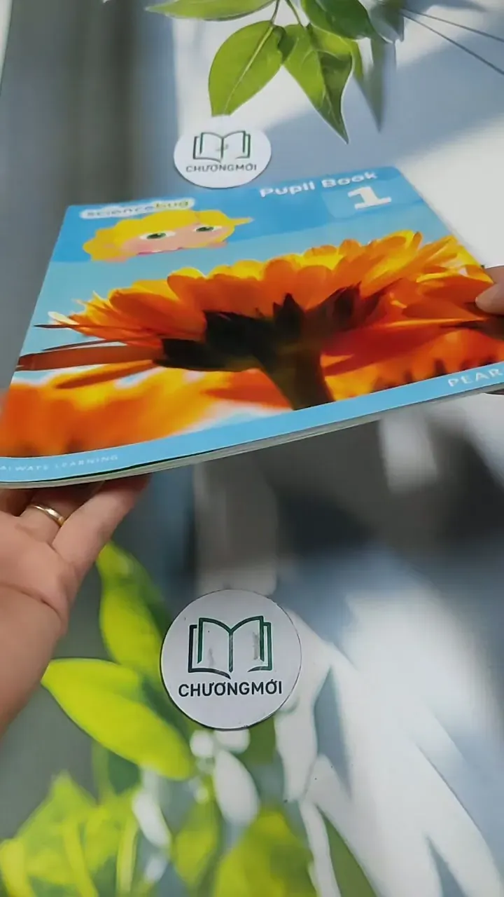 Science Bug Pupil Book Year 159 713904