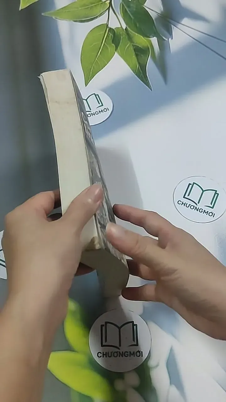 Con rể tỉnh trưởng - Phương Vỹ 695009