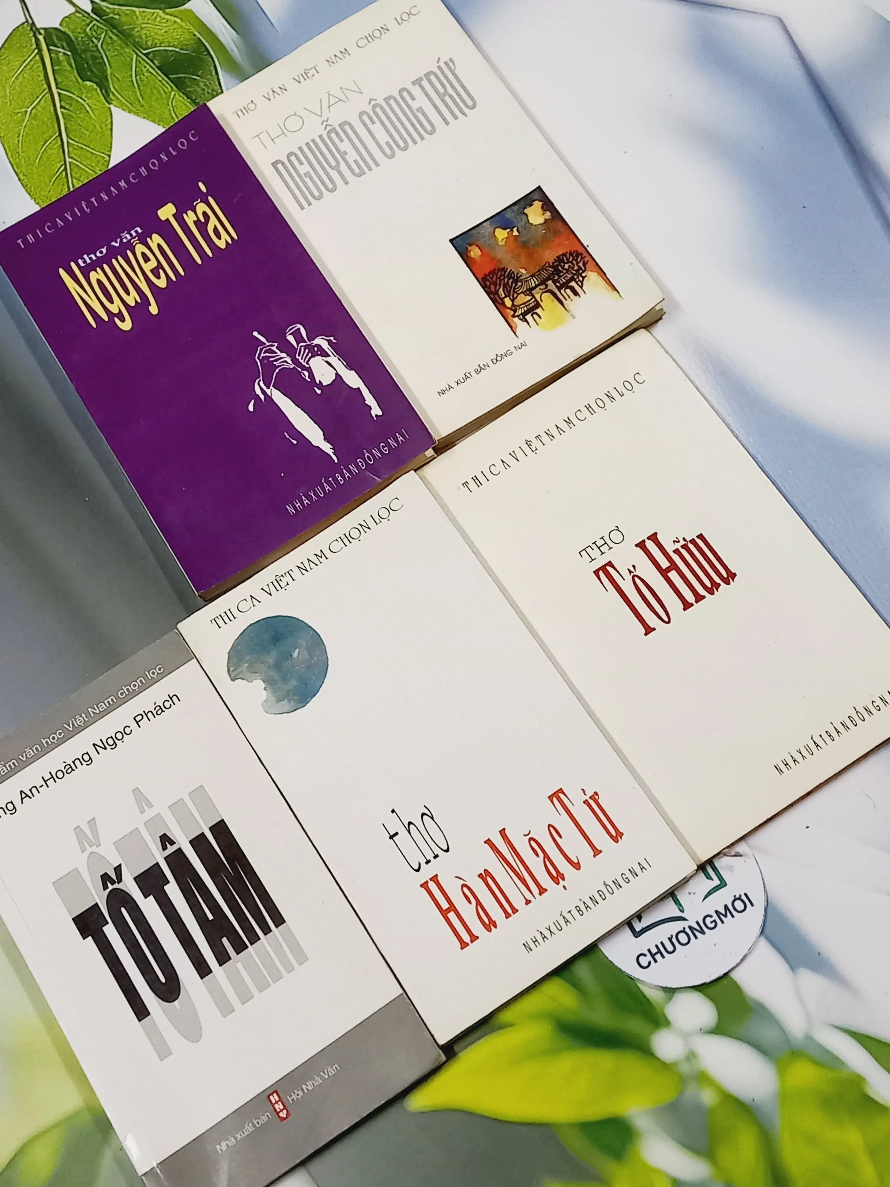 Combo Thơ Văn: Nguyễn Trãi, Nguyễn Công Trứ, Hàn Mạc Tứ, Tố Hữu, Tố Tâm