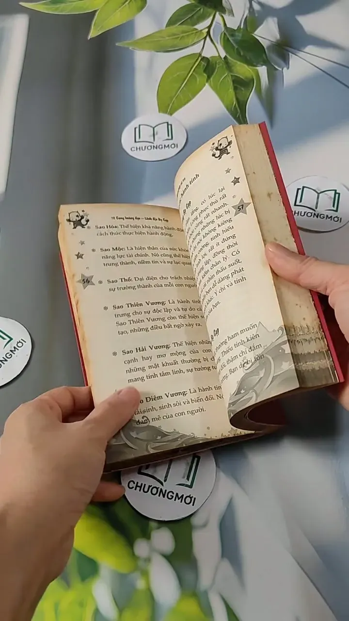 Lãnh địa Bò Cạp - 12 Mãnh Ghép Vũ Trụ 713786