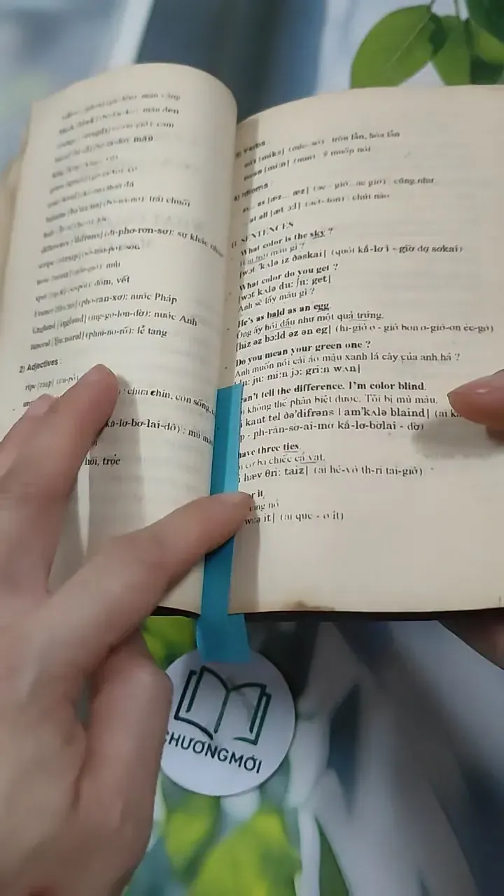 Tiếng Anh Thực Dụng Dễ Học 727293