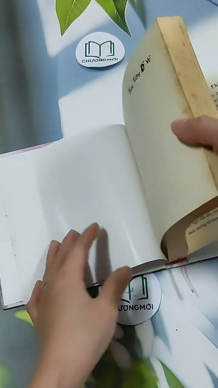 Thiếu Tướng Ế Vợ - Tuỳ Hầu Châu 703157