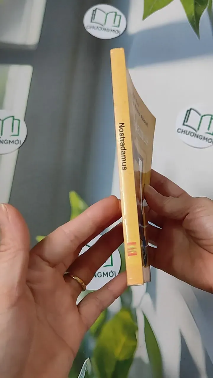 All You Wanted To Know About - Nostradamus 754502