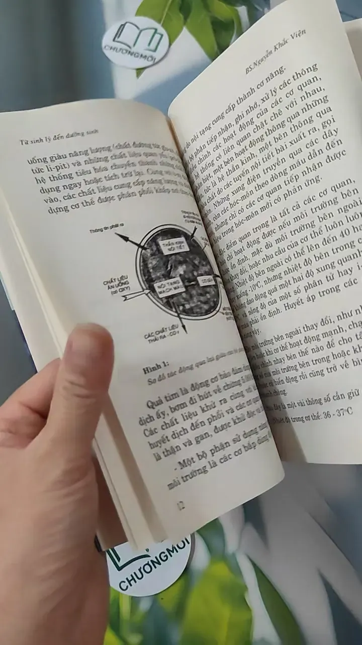 Từ Sinh Lý Đến Dưỡng Sinh - Nguyễn Khắc Viện 780815