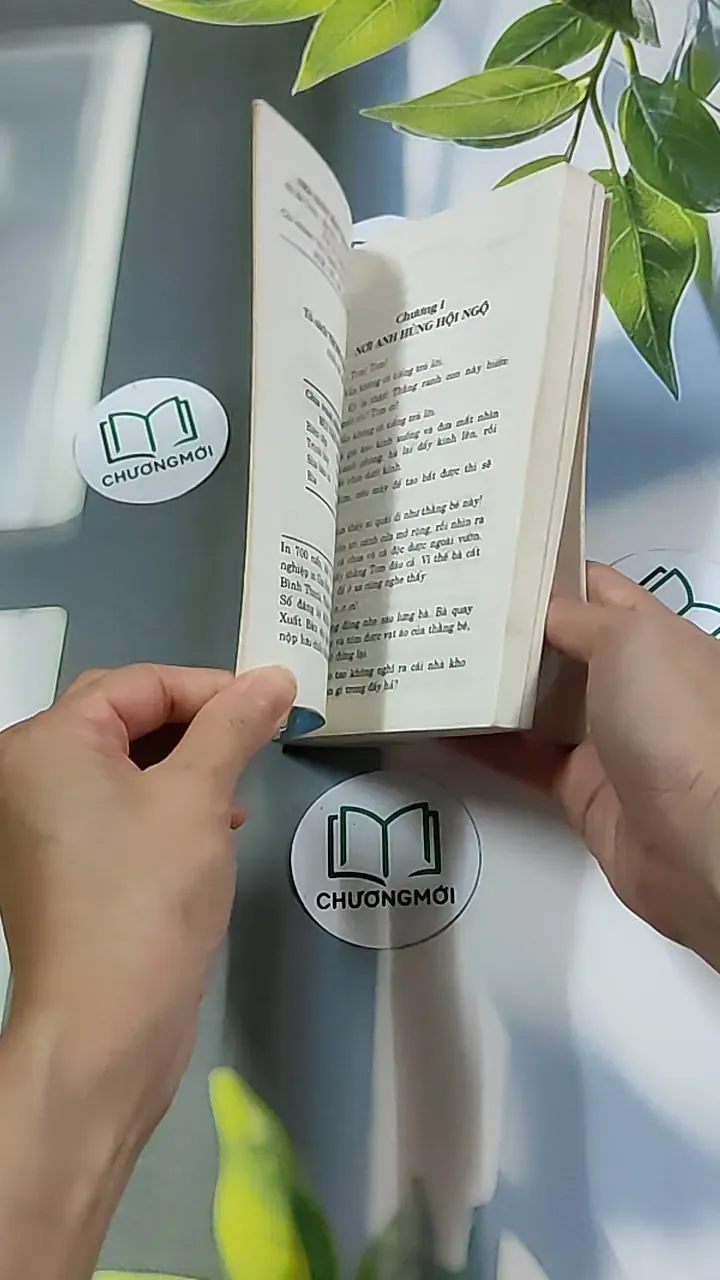 Những Cuộc Phiêu Lưu Của Tom Sawyer 604591