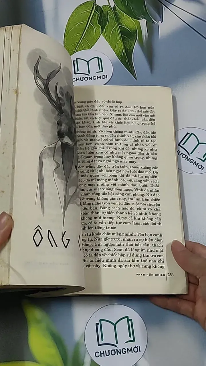 Hợp Điểm - Phan Hồn Nhiên 688703