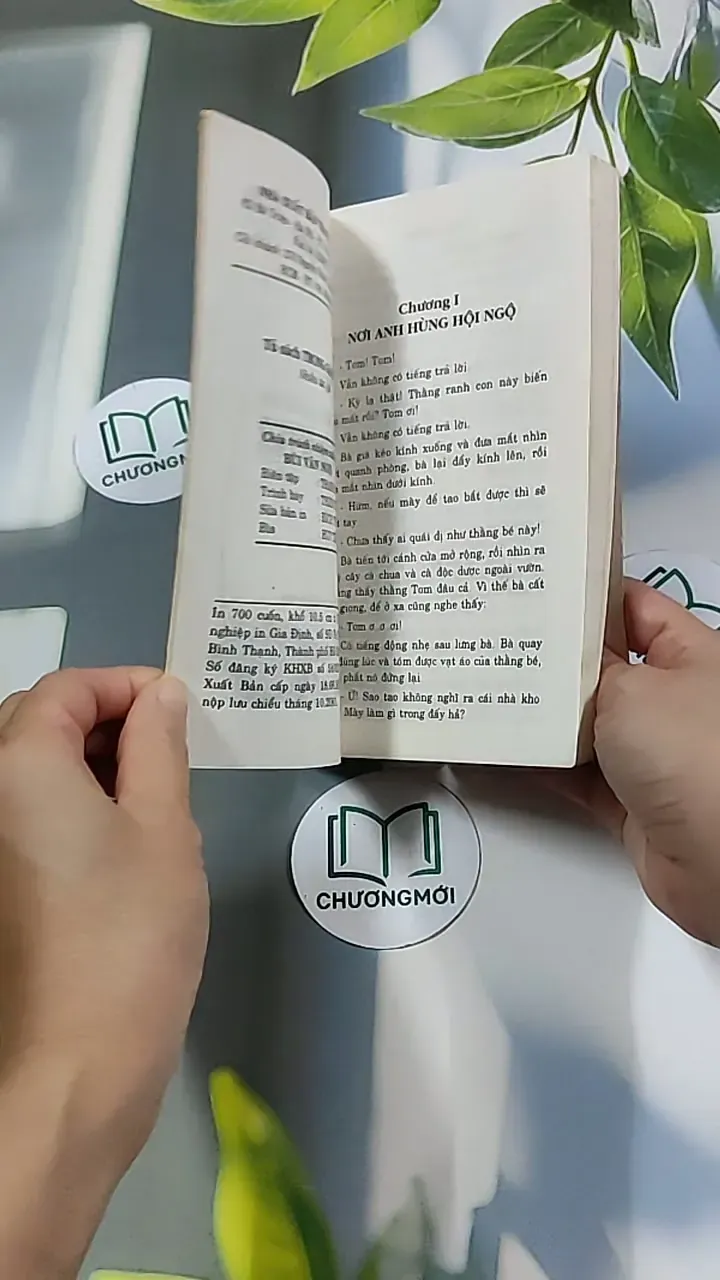 Những Cuộc Phiêu Lưu Của Tom Sawyer 604591