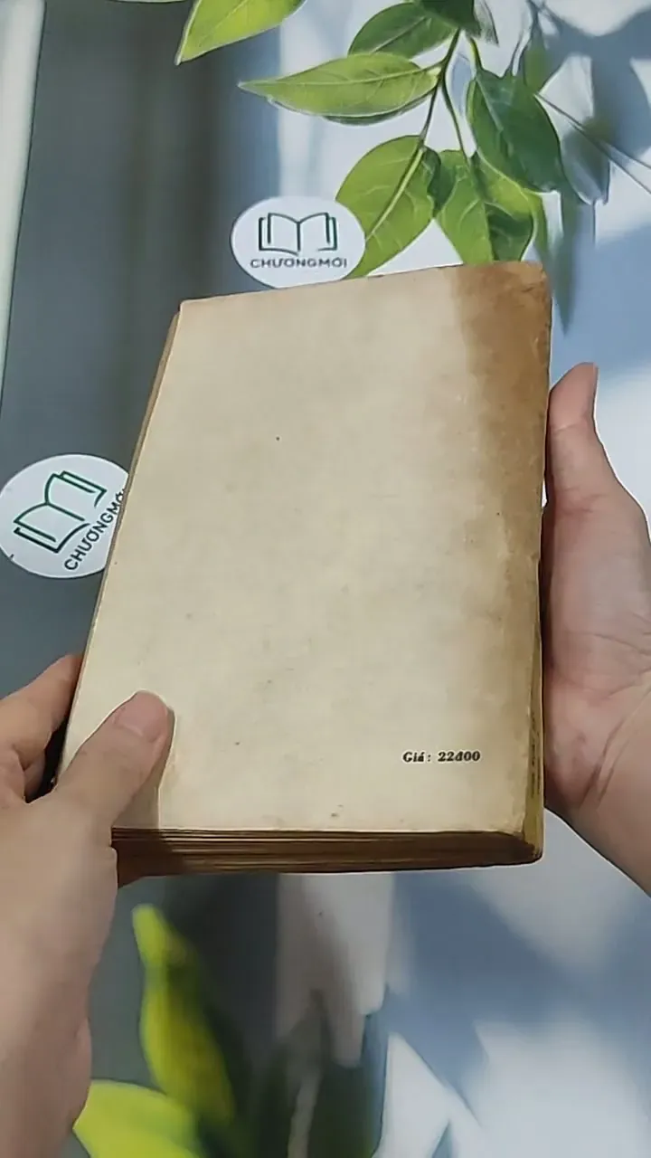 Vòi Bạch Tuộc và những Đồng Tiền Vàng (1977) - Kri-stin Dem-ski 674976