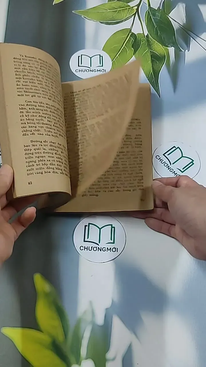 [MIỄN PHÍ BỌC SÁCH] Vùng Băng Tuyết (1988) - Y Kawabata 674973