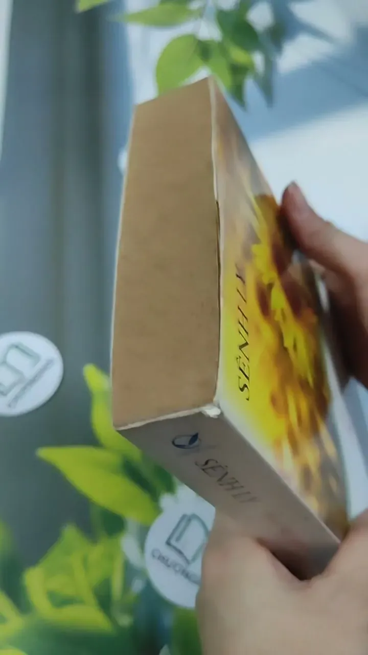 Hoa Nở Giữa Tháng Năm Cô Đơn - Sênh Lý 705743