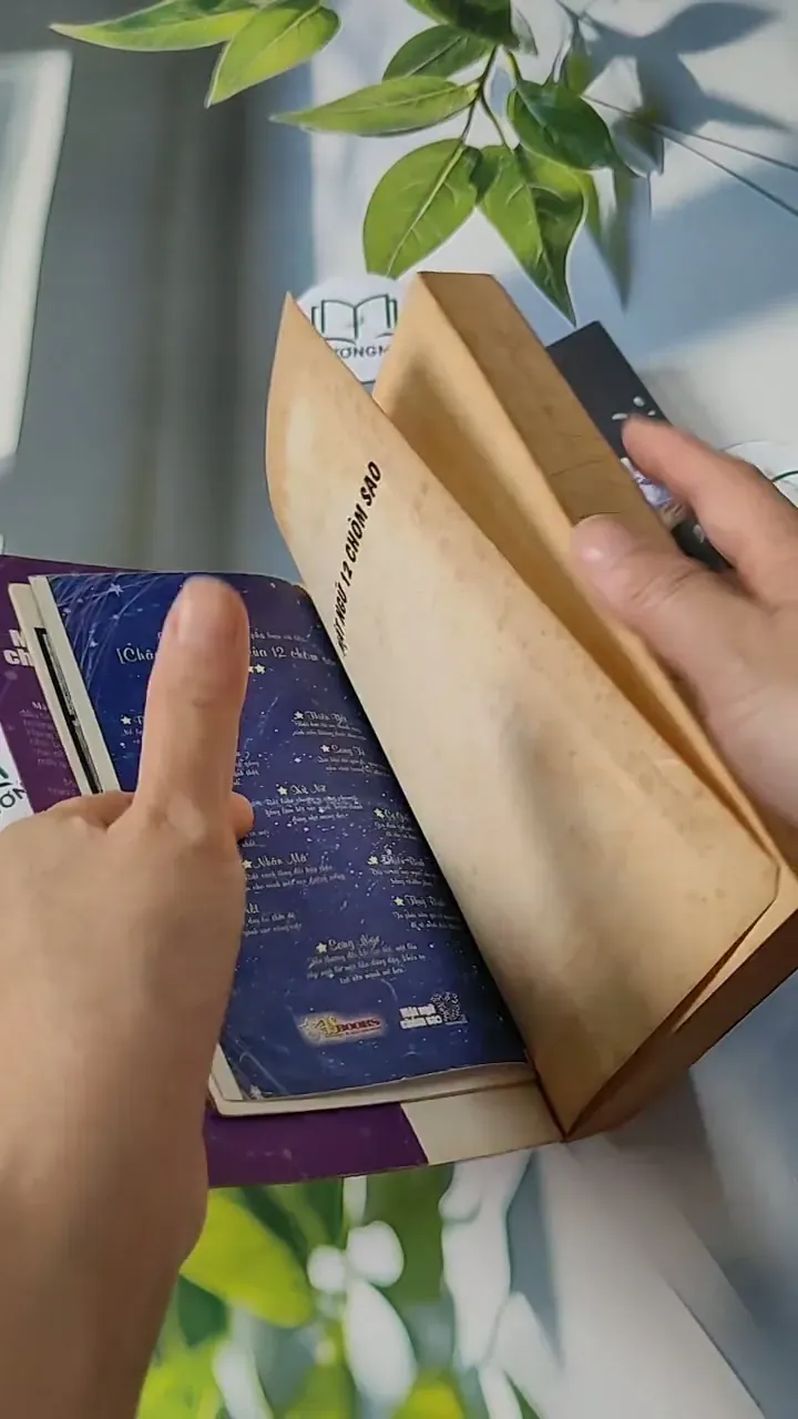 Combo: Khám Phá Tất Tần Tật Cung Song Tử  713791