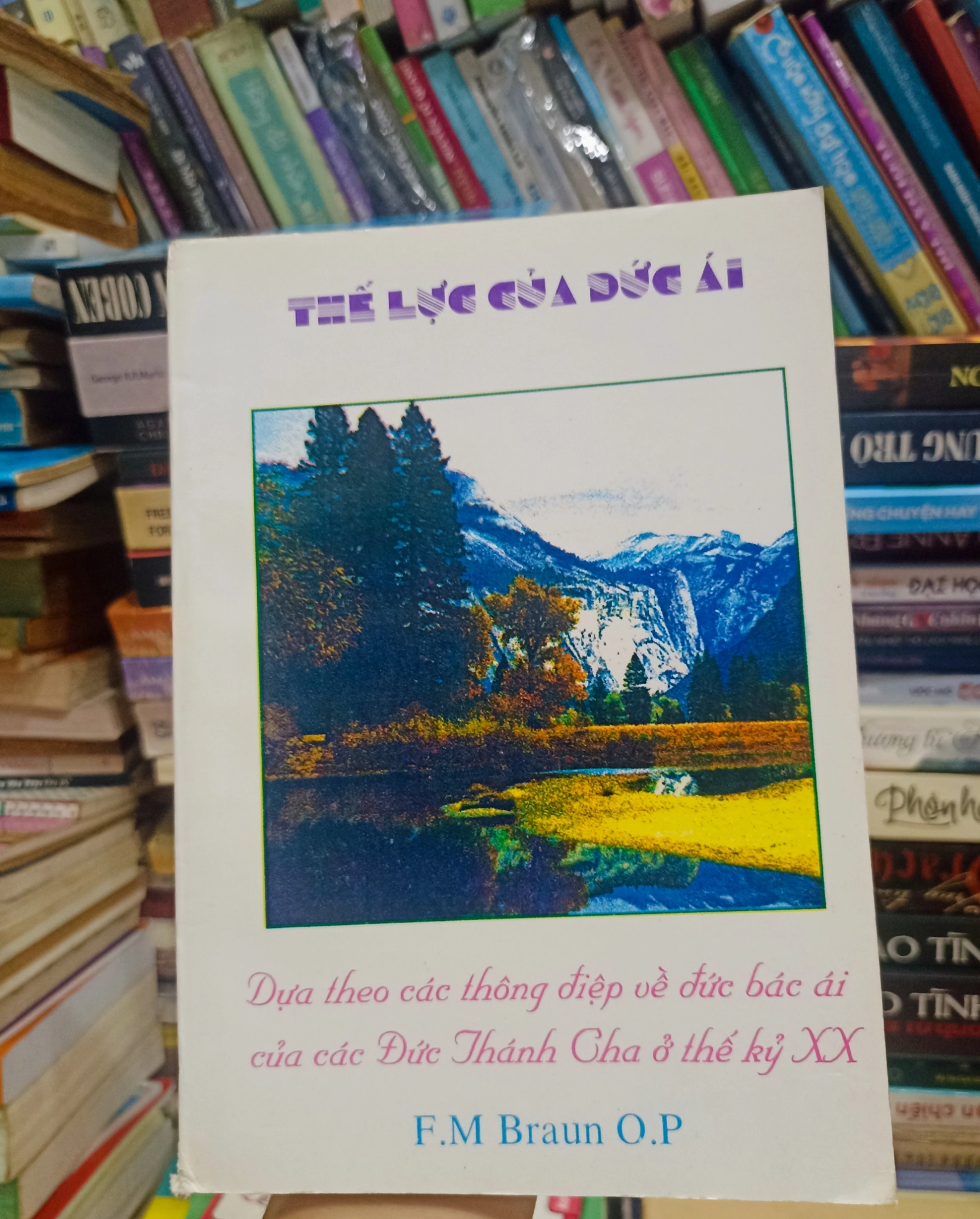 Thế lực của Đức Ái 🌻 by F.M. Braun O.P. - Sách Book Cover - Ngọc Hiển Books