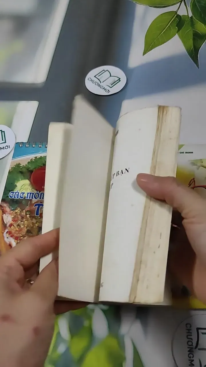 Combo Ẩm Thực: Các Món Hải Sản Kiểu Thái, Các Món Ăn Giúp Bạn Gái Trẻ Đẹp, Lựa Chọn Thực  727325