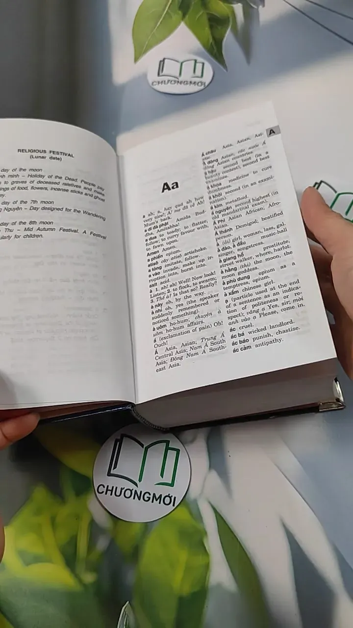 Từ Điển Việt - Anh 749584