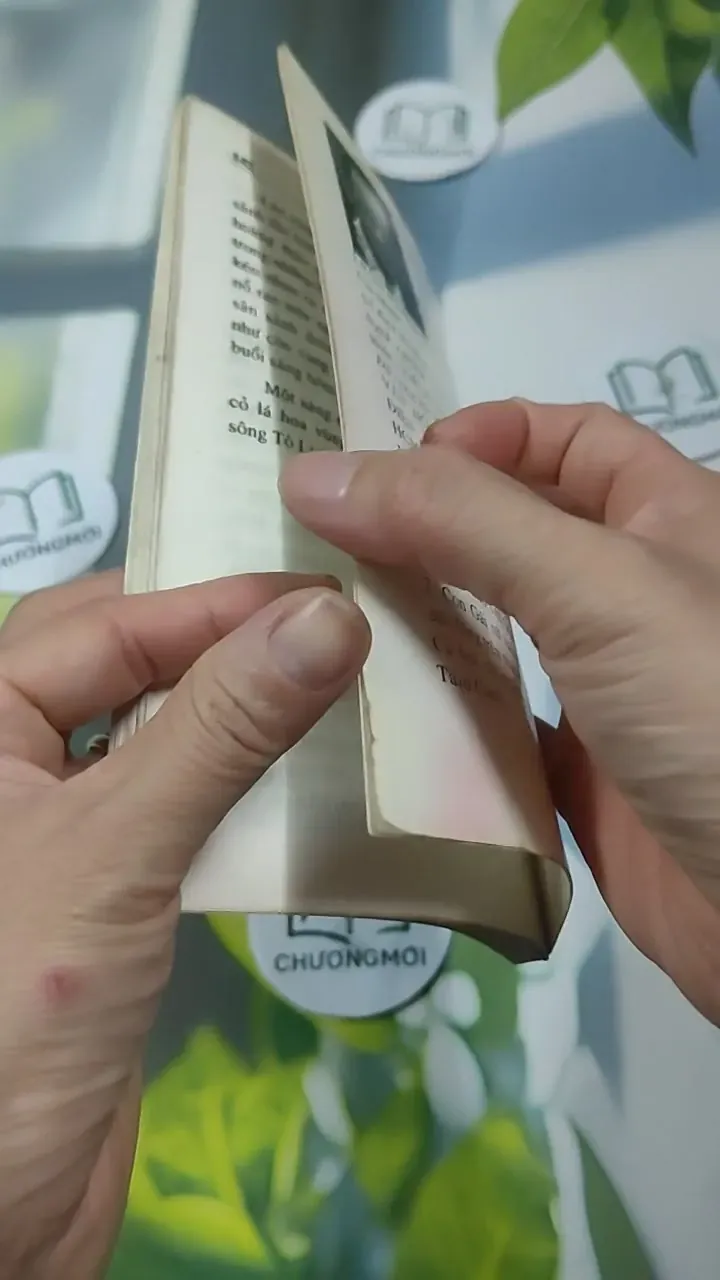 Đức Năng Thắng Số - Lê Phương Chi 727345