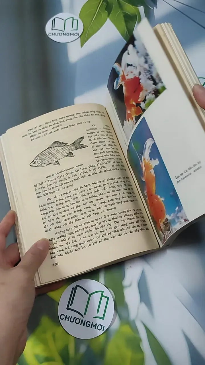 [MIỄN PHÍ BỌC SÁCH] [XƯA] Cá Cảnh (1993) - Võ Văn Chi 780866