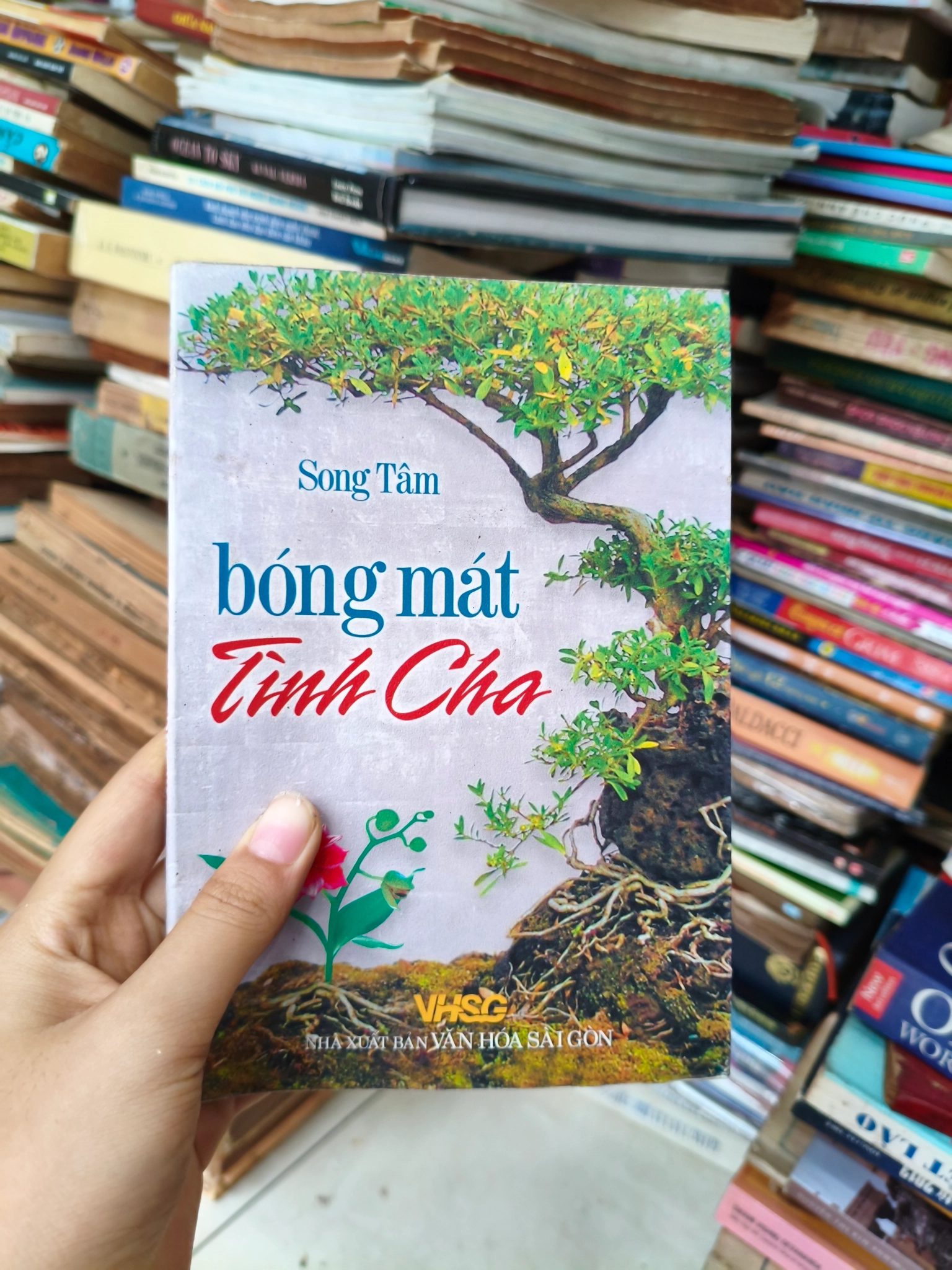 Bóng mát tình cha 🌱 by  - Sách Book Cover - Ngọc Hiển Books