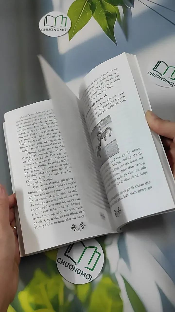 Kỹ Thuật Nuôi Gà Đá - Nguyễn Hoàng 780864