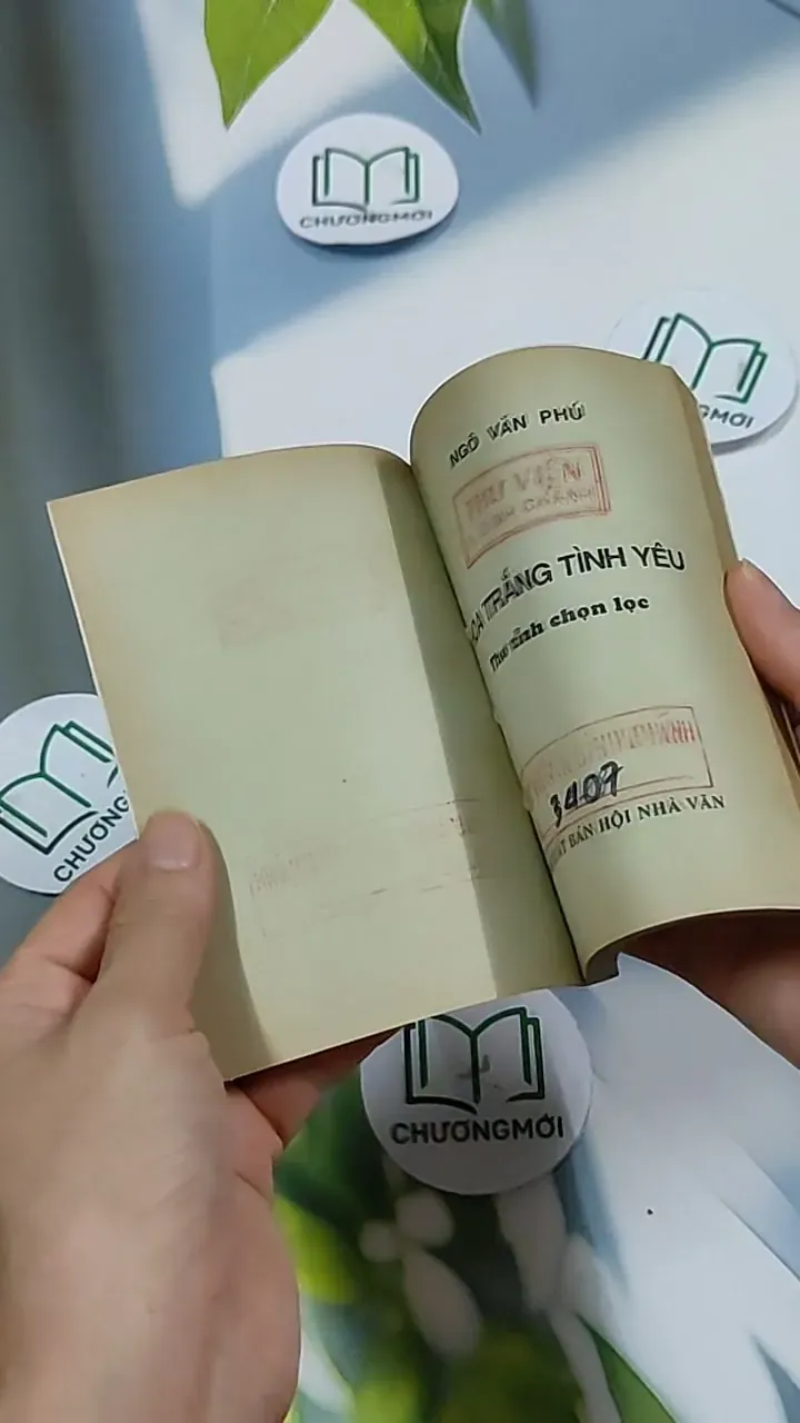 Hoa Trắng Tình Yêu - Ngô Văn Phú 703156