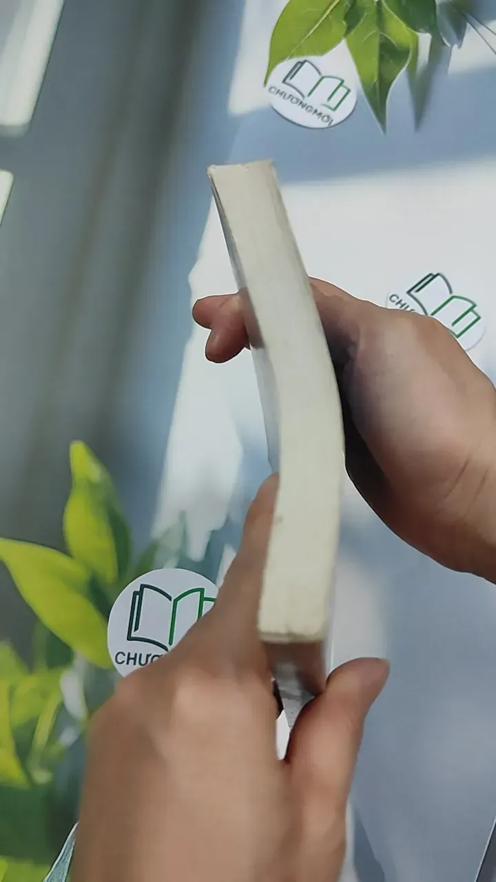 Gõ Cửa Thiền - Nguyên Minh 776154