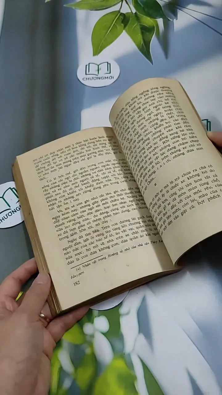 Người Đàn Bà Tuổi Bính Thân - Phạm Thị Minh Thư 713893