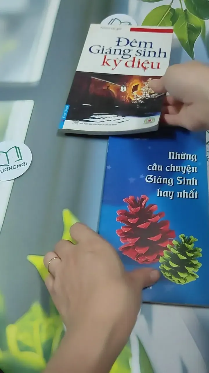 Combo Hạt Giống Tâm Hồn Quà Tặng Cuộc Sống: Giáng Sinh 727340