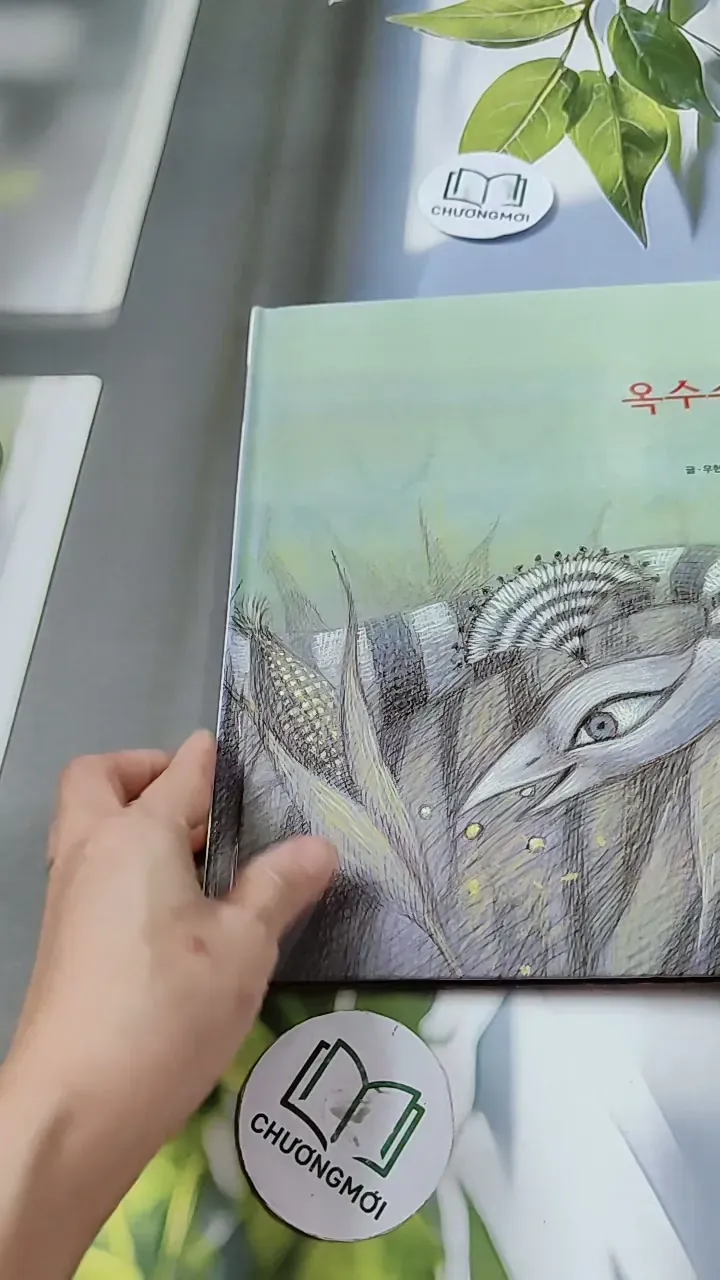 [Tặng nẹp góc] Truyện thiếu nhi Hàn Quốc: Moyamo Anu 23 -  모야모 아누와: 옥수수 도둑;. 회오리바람 732015