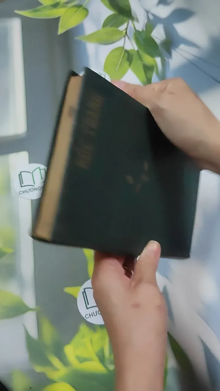 Bức Tranh - Đanhin Granhin 750804