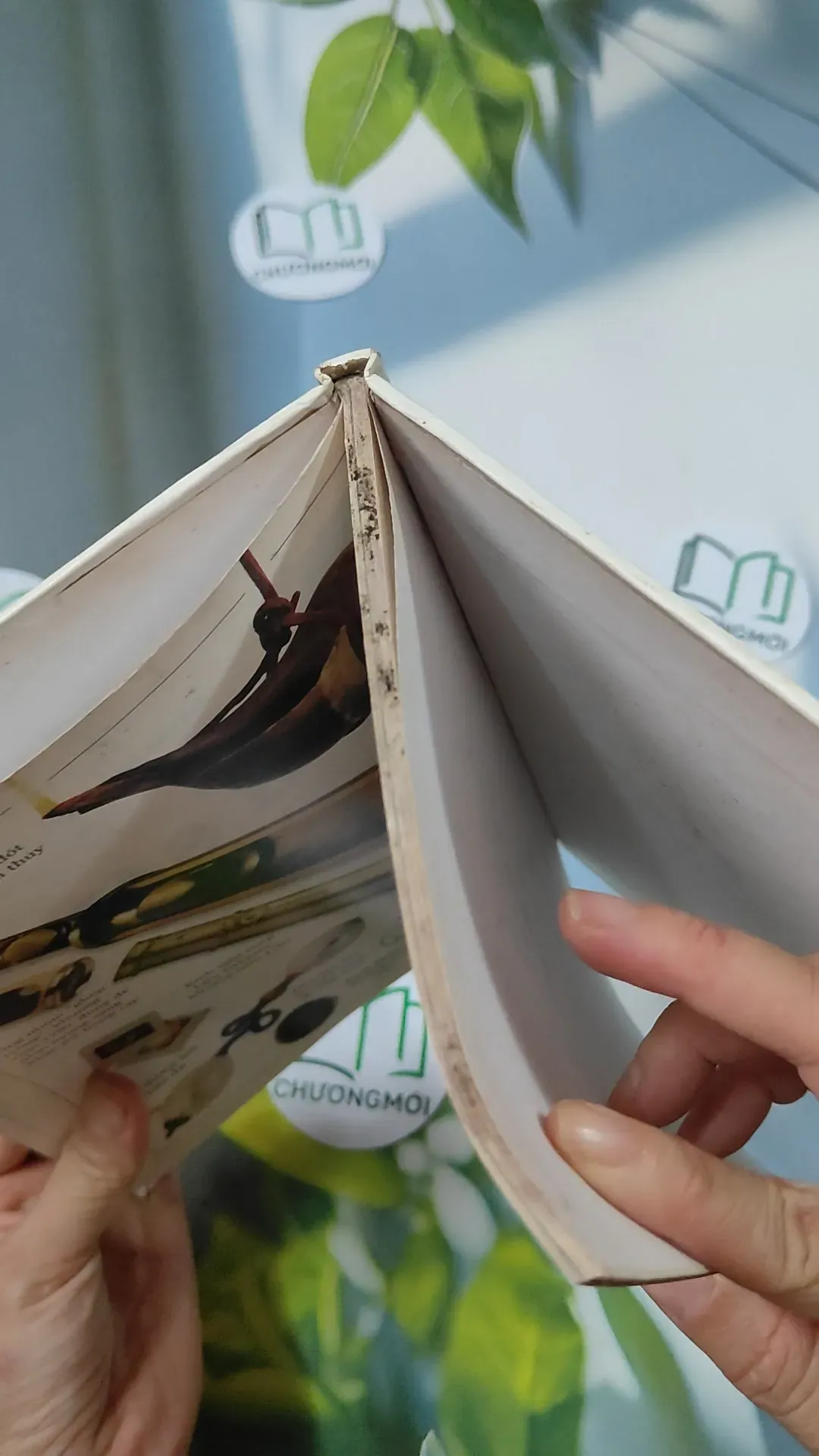 Phát Minh, Sáng Chế - Khoa Học, Kỹ Thuật: Ánh Sáng - David Burnie 750735