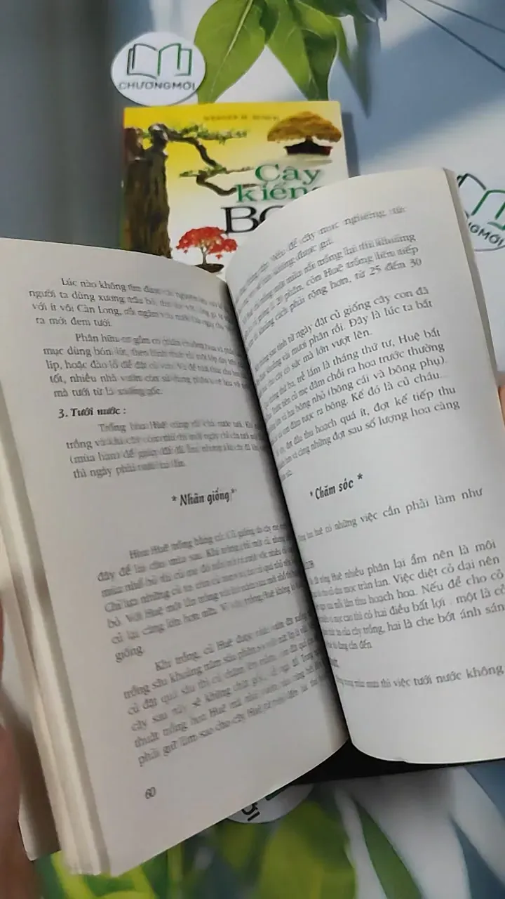 Combo Phương Pháp Trồng Hoa, Cây Kiểng Bonsai - Werner Busch & Phạm Thị Mỹ Hương 780858