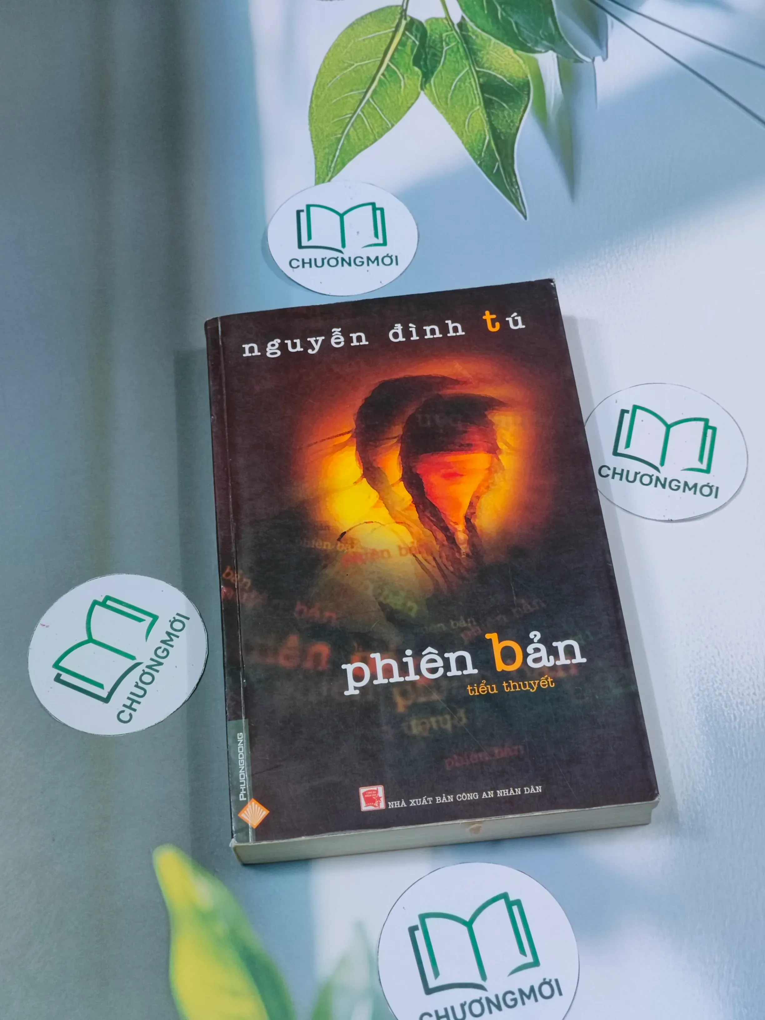 Phiên bản - Nguyễn Đình Tú