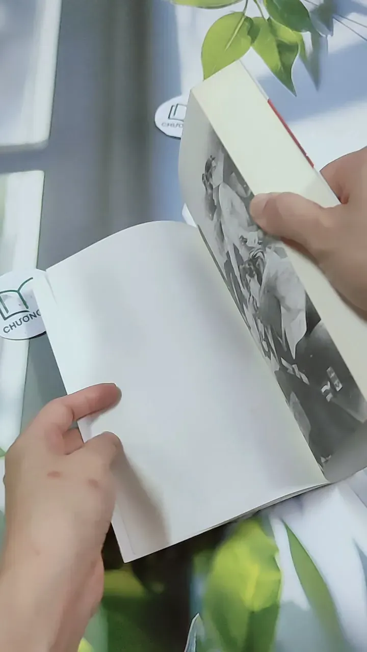 Nam Cực Tinh - Phong Duy 744707