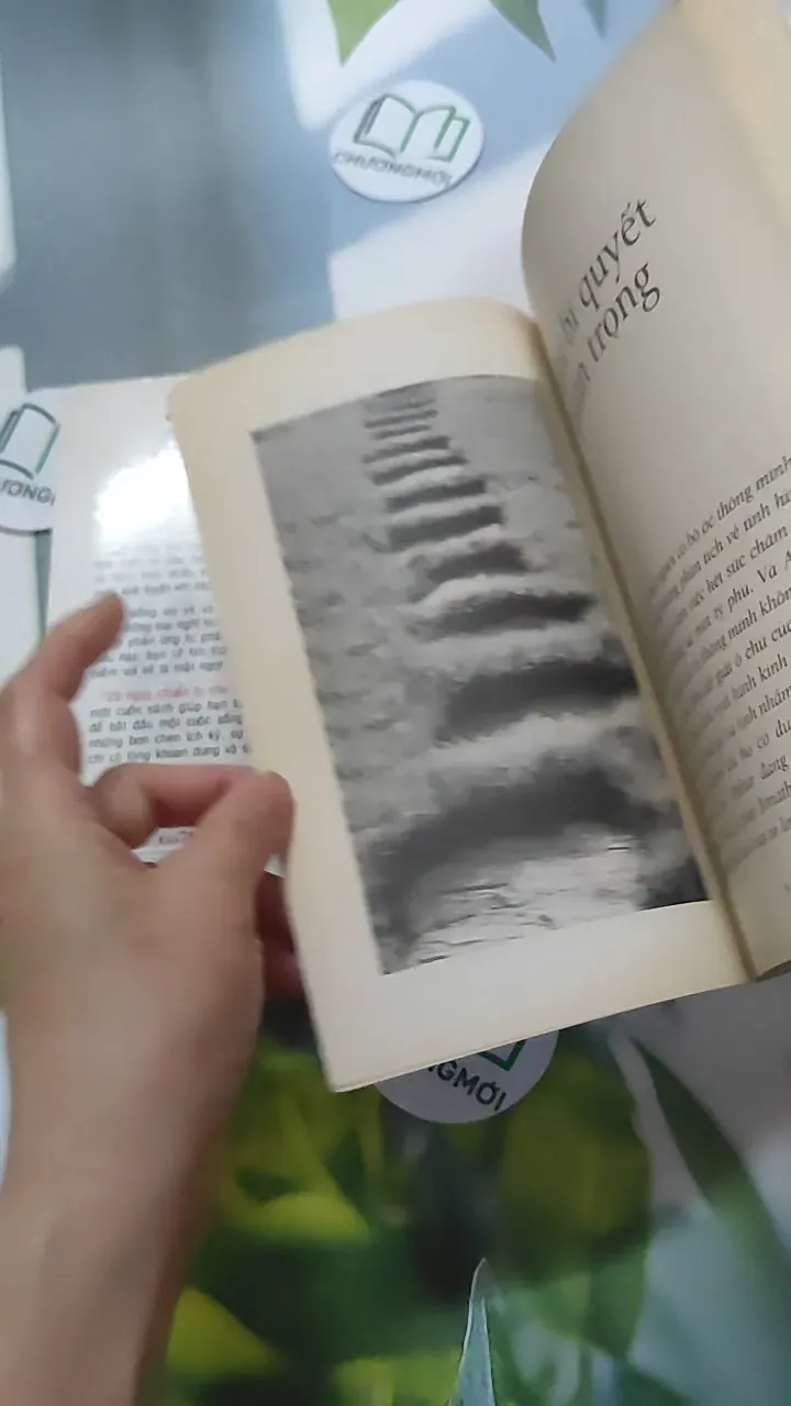 Combo Kỹ năng: Không Theo Lối Mòn, 28 Ngày Chuẩn Bị Cho Cuộc Sống Tốt Đẹp Hơn 787027
