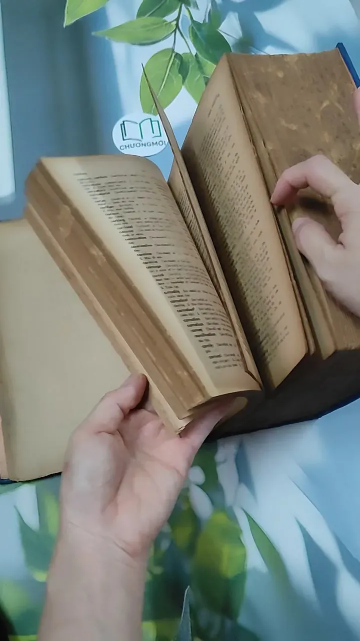 [MIỄN PHÍ BỌC SÁCH] Từ Điển Anh - Việt - Viện Ngôn Ngữ 750747