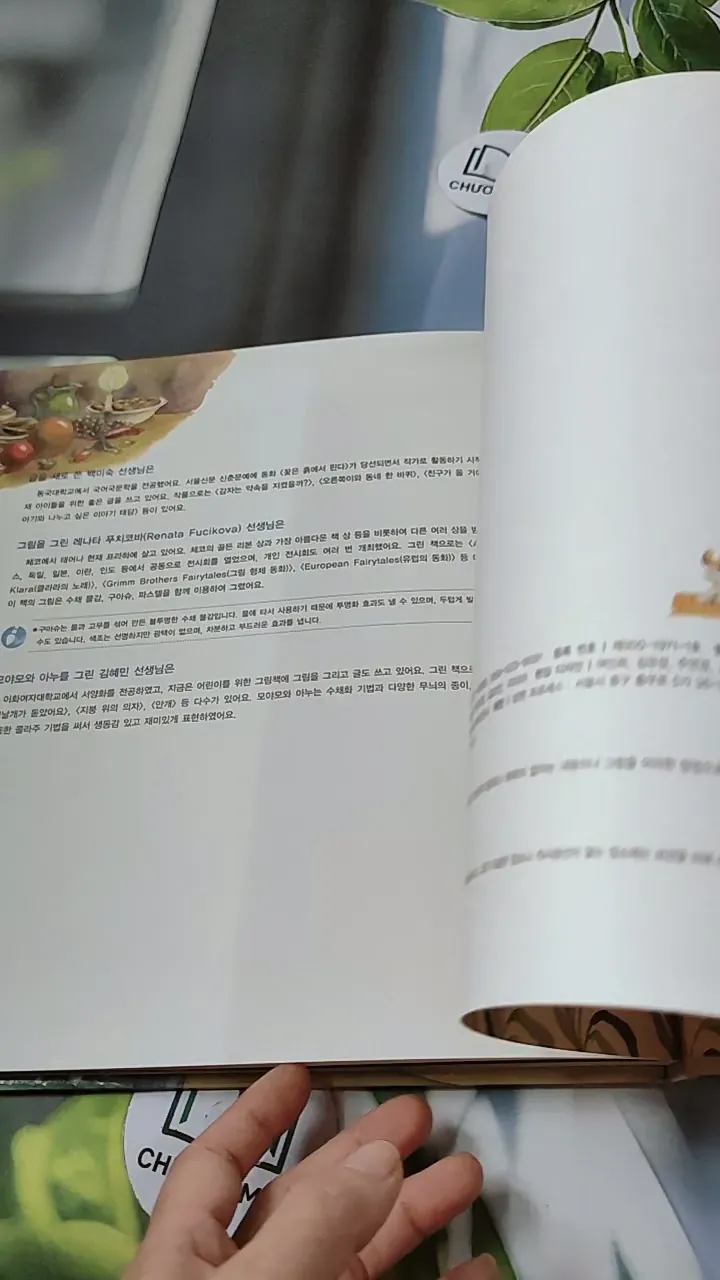 [Tặng nẹp góc] Truyện thiếu nhi Hàn Quốc: Moyamo Anu 33 -  모야모 아누와: 호기심에 눈먼 이야기 732030