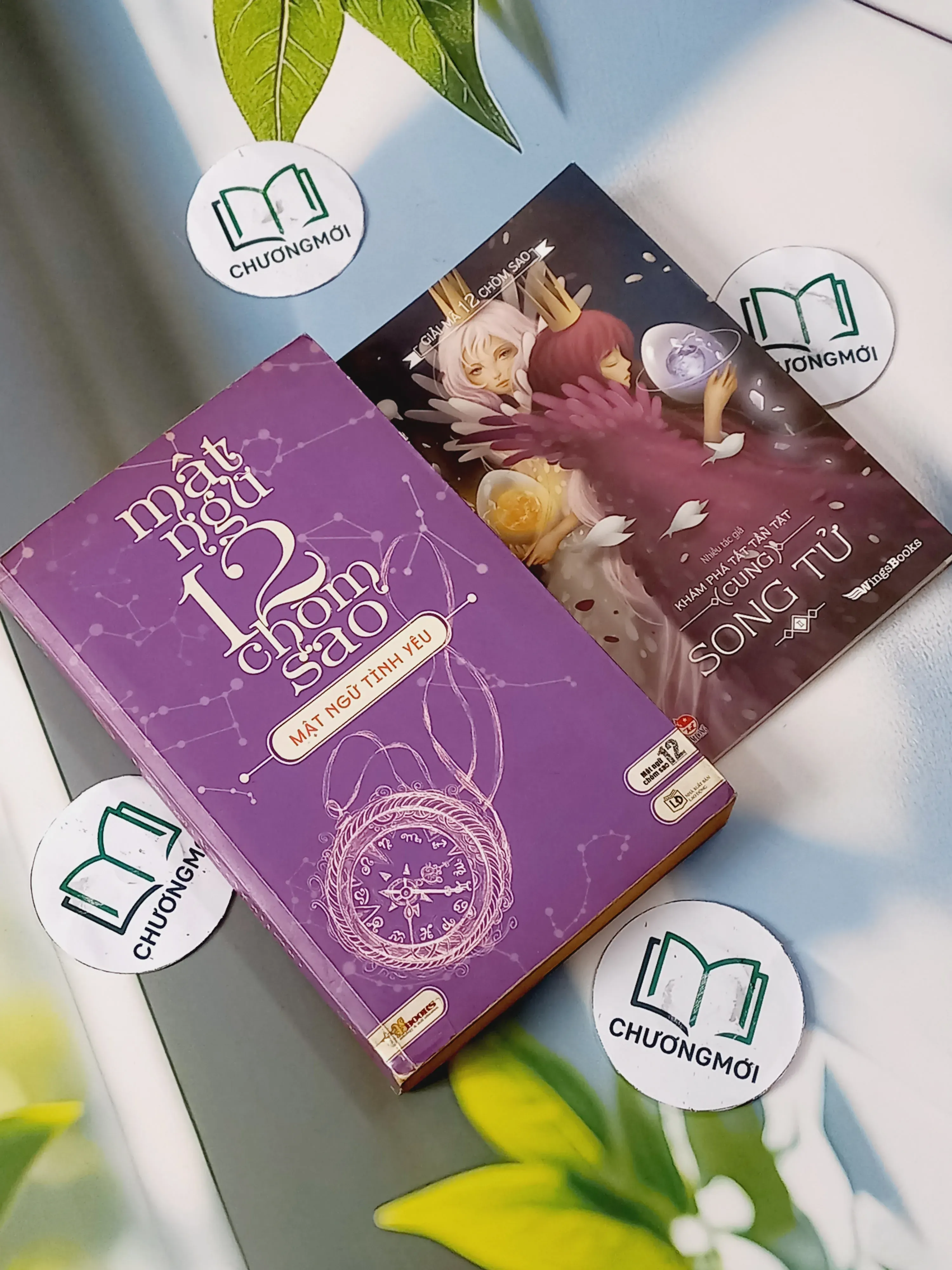 Combo: Khám Phá Tất Tần Tật Cung Song Tử 