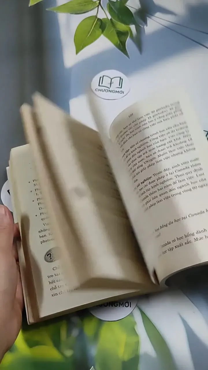 Bạn Muốn Đi Nước Ngoài? (Hỏi & Đáp Về Thủ Tục Cấp Visa Vào Các Nước 707254