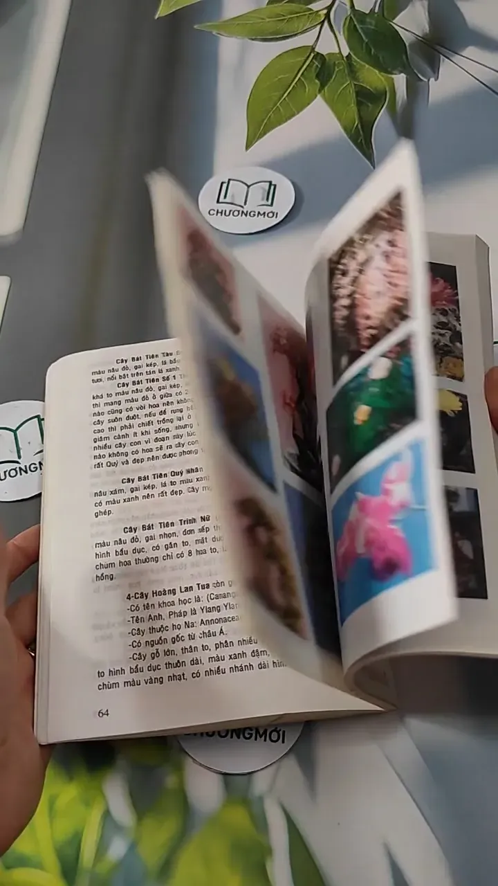 Kỹ Thuật Trồng Hoa Kiểng - Huỳnh Văn Thới 727272