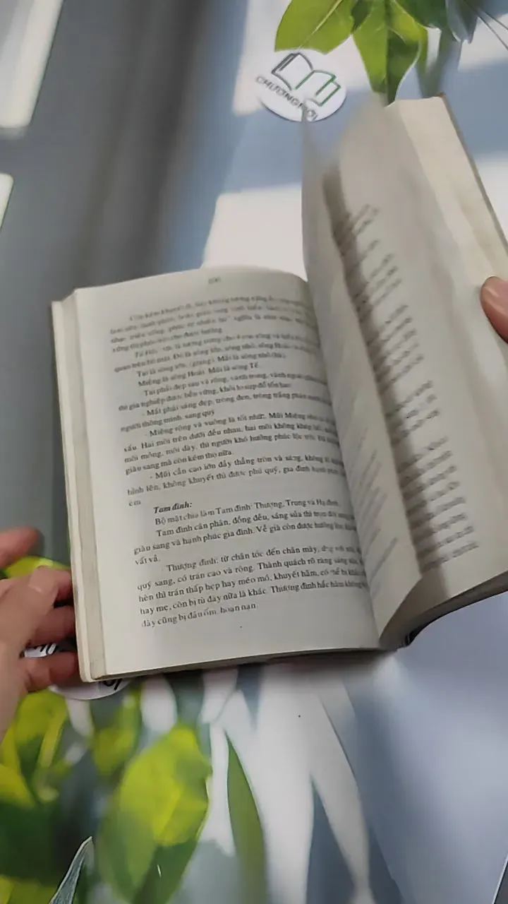 Tử Vi Tướng Pháp 776182