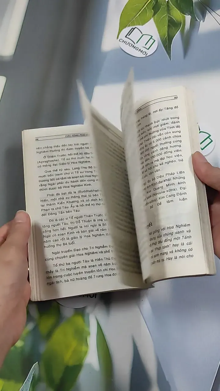 [XƯA] Các Tông Phái Đạo Phật (1995) - Đoàn Trung Còn 776150