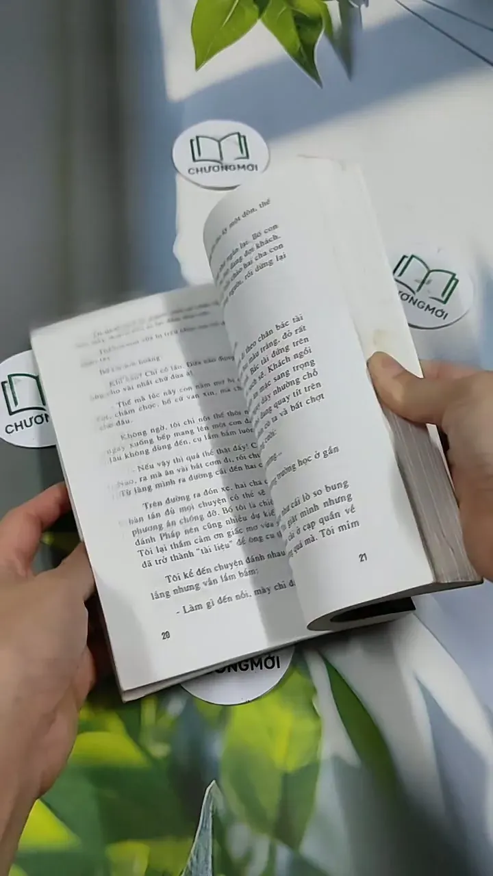 Giấc Mơ Mỹ - Vương Tâm 705661