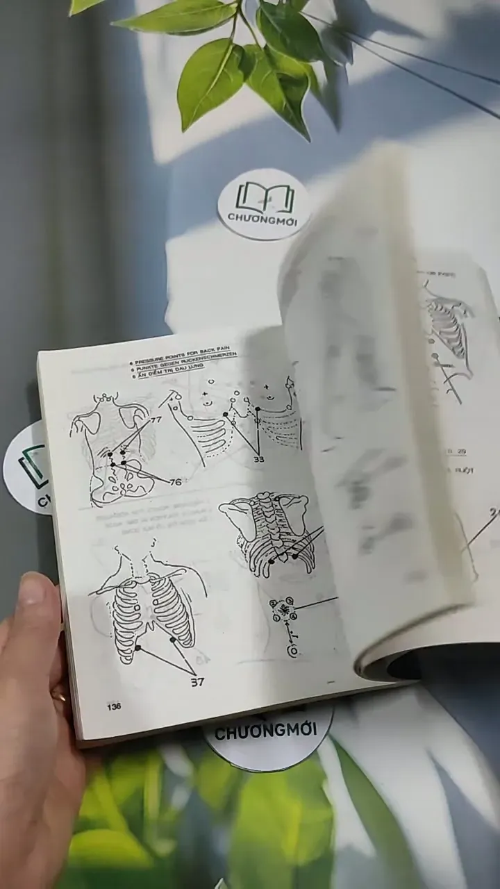 Bấm Huyệt 707258