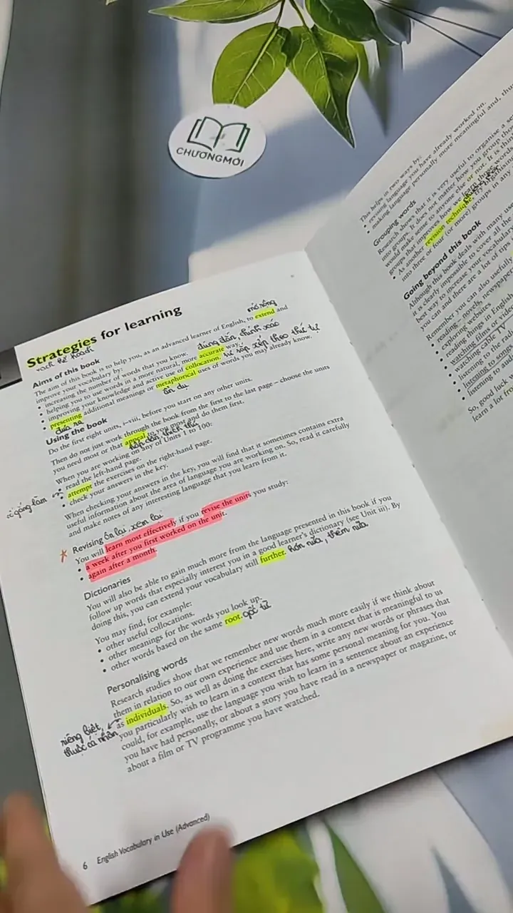 English Vocabulary In Use 713917