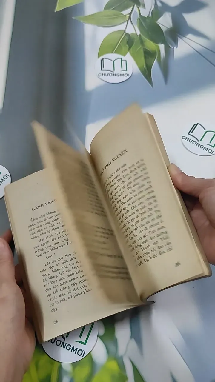 [XƯA] Vũng Bùn Son Phấn (1993) 776038