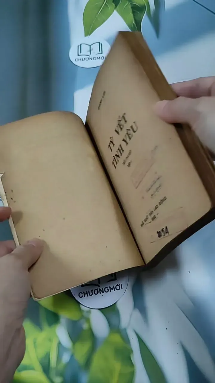 Tỳ Vết Tình Yêu - Thanh Lan 713847