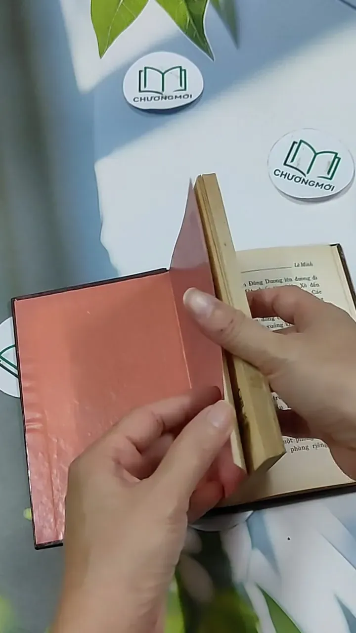 Khúc Hát Vườn Trầu - Lê Minh 703151