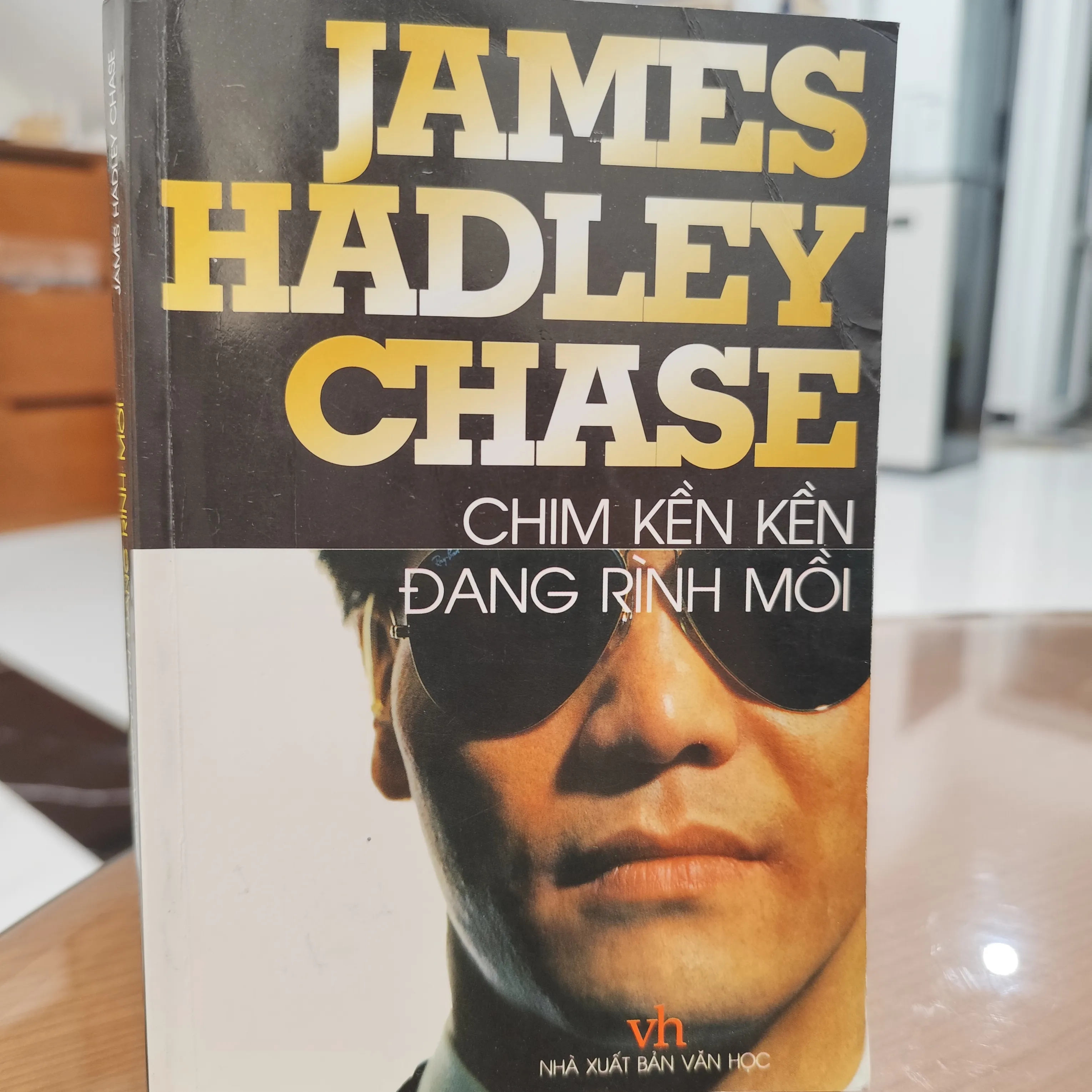 Chim kềnh kềnh đang rình mồi by  - Sách Book Cover - Ngọc Hiển Books