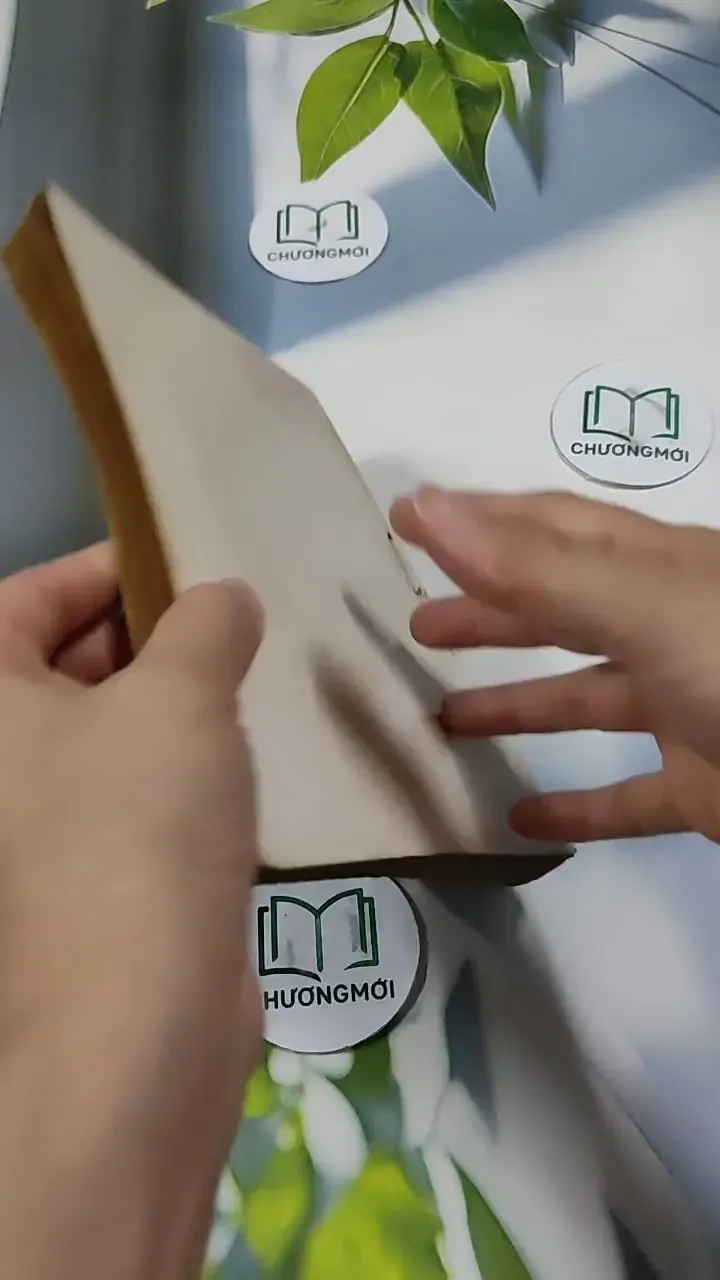 Đời Em Như Áng Mây - Dương Trữ La 713863