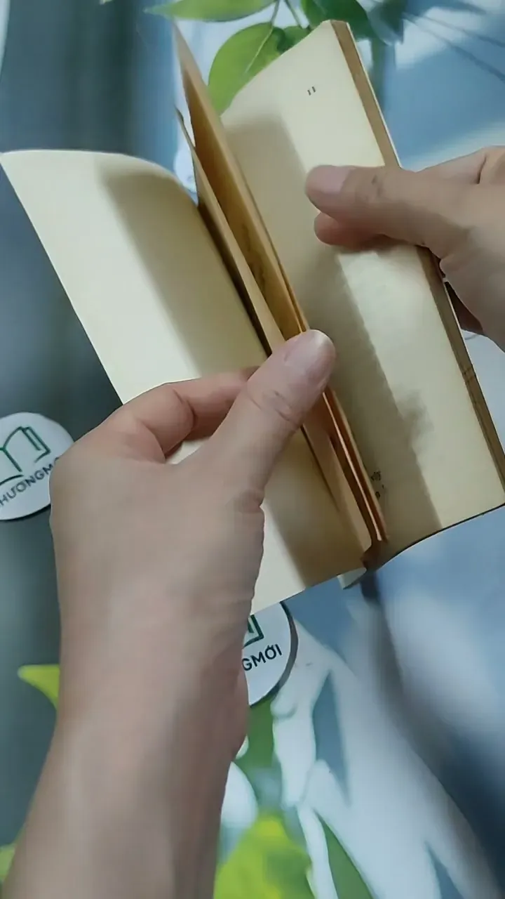 Những Điều Trông Thấy - Thơ  - Bảo Định Giang 713888